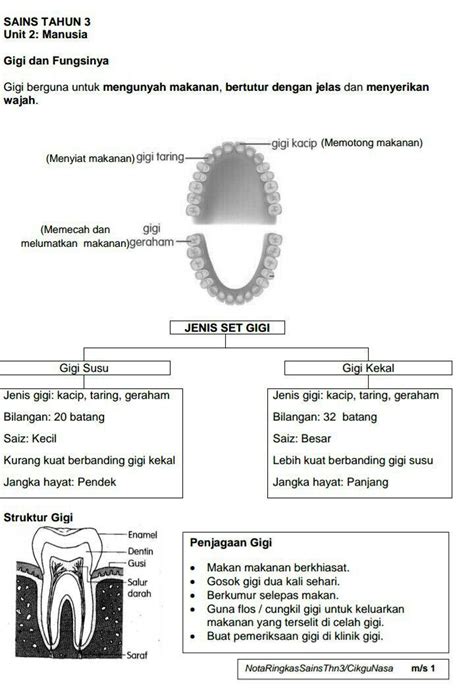 Latihan Imbuhan Tahun 3 Latihan Imbuhan Nota Tahun 3 Sains Kssr Porn Sex Picture