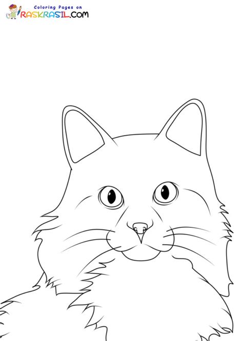 24 Nyan Cat Coloring Pages JeniferRanay