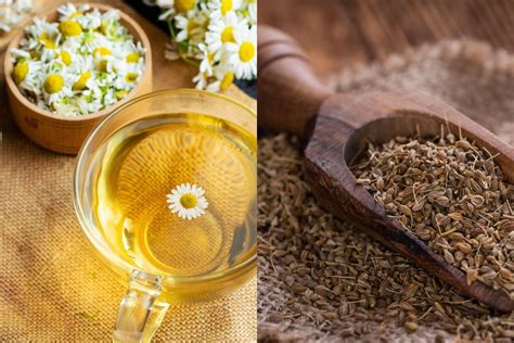 Chamomile Tea With Anise: Benefits, Side Effects, and Recipe | Chinese Teas 101