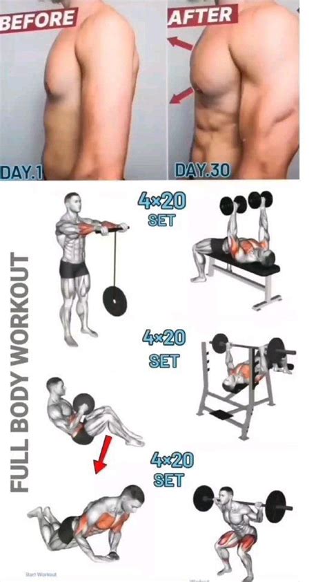 Fitness Key9 On Instagram Build Muscle Full Body Workout To Build Muscle Mass Save This