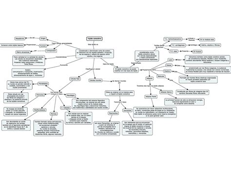 Tejido Conectivo Mapa Conceptual Introducción Al Tejido Conectivo Docsity