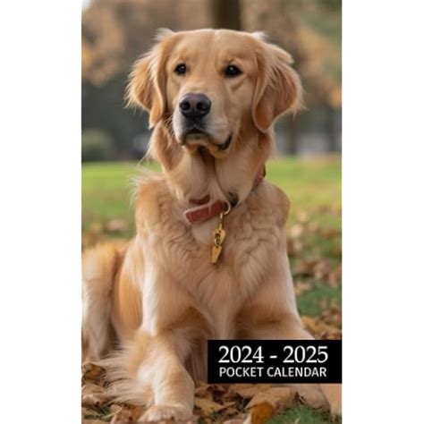 Golden Retriever Calendars 2025 Fina Rosalinde