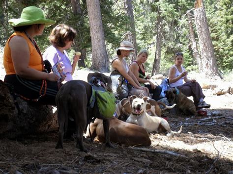 Hiking with Fido - Hikes with Dogs on Southern California Hiking Trails: 5 Suggestions for Cam ...