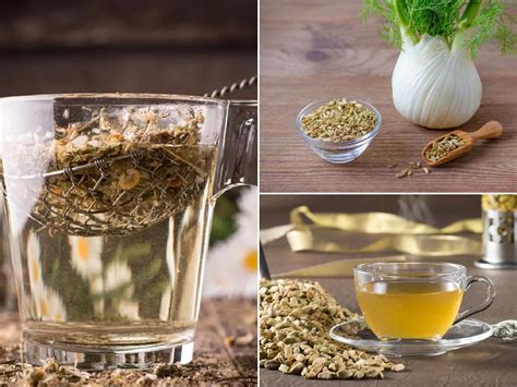 Receta Infusi N De Hinojo Beneficios Y Propiedades Saborgourmet