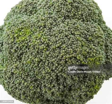 Broccoli Stem Photos And Premium High Res Pictures Getty Images
