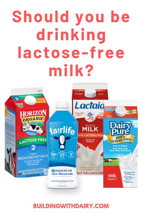 Lactose-Free Baby Formula: What You Need To Know – Mutsy.org