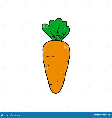 Carrot Vector Icon Carrot Icon Isolated On White Background Stock