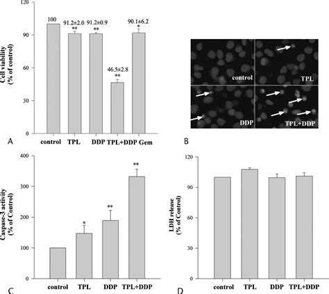 Triptolide Cooperates With Cisplatin To Induce Apoptosis In Pancreas