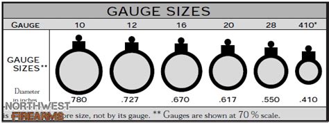 Shotgun Gauge Size Chart Png Northwest Firearms