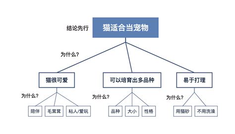 精读笔记 一文读透《金字塔原理》 Xmind思维导图中文博客官网