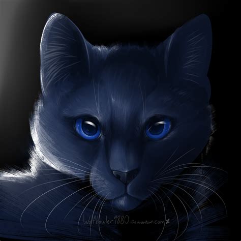 Warriors Bluestar By Wolfhowler9880 On Deviantart