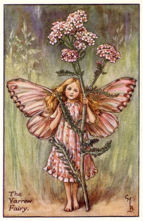 The Yarrow Fairy Flower Fairies Cicely Mary Barker 192 Paul Flickr