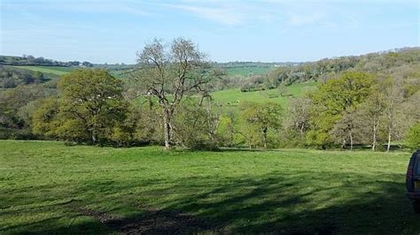 See The Rolling Acres Of Organic Green Pastures Of Perridge Farm On A