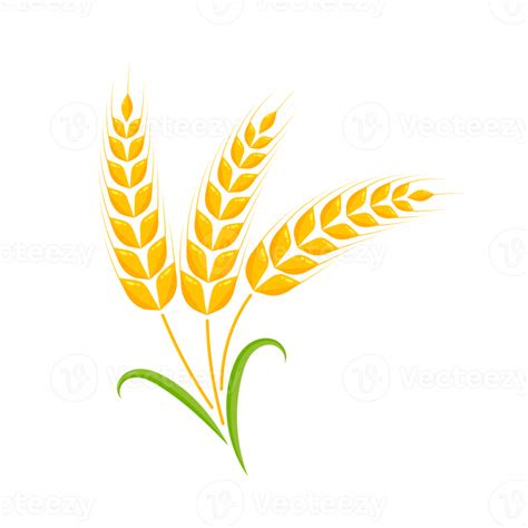 Ears Of Wheat Whole Grains For Making Bread 14568216 PNG