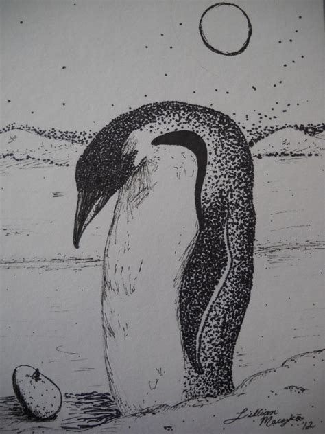 Pen And Ink Penguin By Lilystar830 On Deviantart