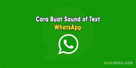 Cara Buat Sound Of Text Whatsapp Tulisan Jadi Suara Lucu Gratis