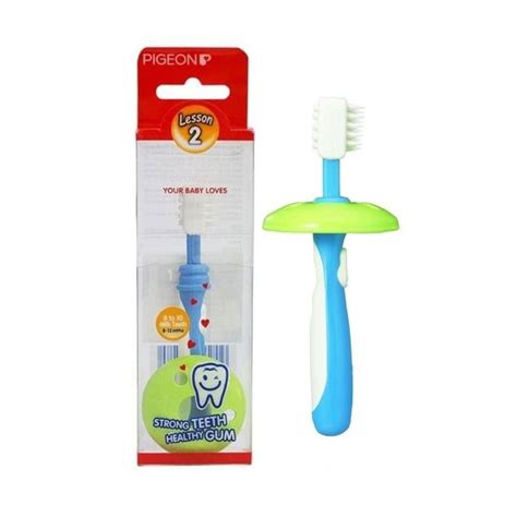 Pigeon Training Toothbrush Blue L 2 Rajasusu