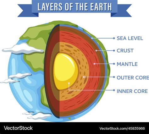 Diagram showing layers of the earth lithosphere Vector Image