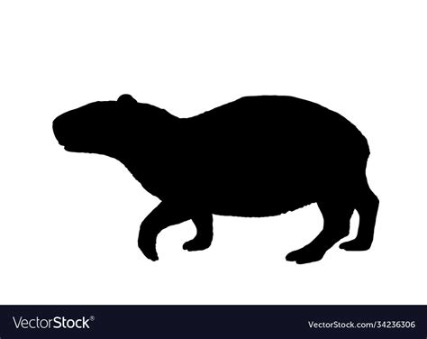 Capybara silhouette isolated Royalty Free Vector Image