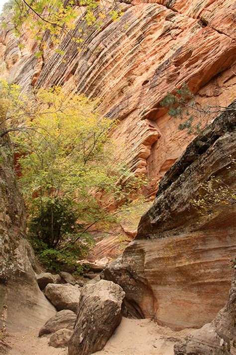 Hidden Canyon Hike In Zion National Park Photo 15