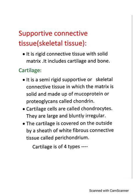 Supportive Connective Tissue Pdf Free Download