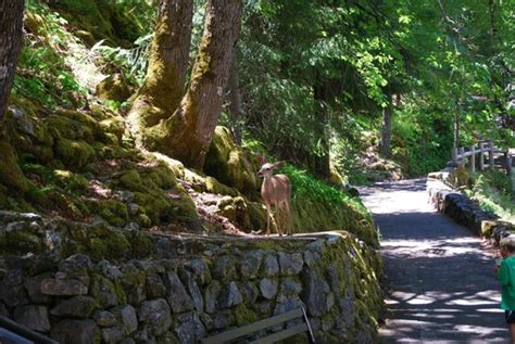 Oregon Caves National Monument and Preserve (Cave Junction) - All You ...