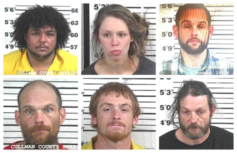 Ccso Arrest Roundup The Cullman Tribune