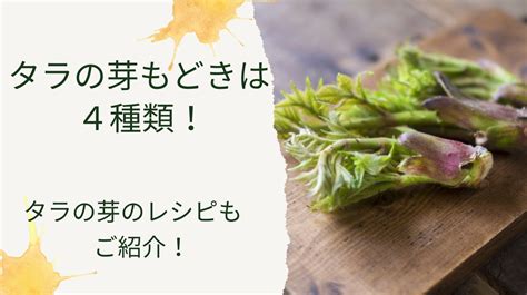 タラの芽もどきってなに 下処理方法やレシピ保存方法までご紹介