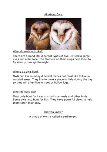 Talk For Writing Eyfs Owl Babies 6 Weeks Planning Teaching Resources