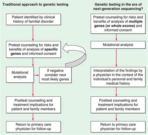 Mitochondrial Dna And Heritable Traits And Diseases Basicmedical Key