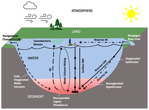 Eutrophication Means
