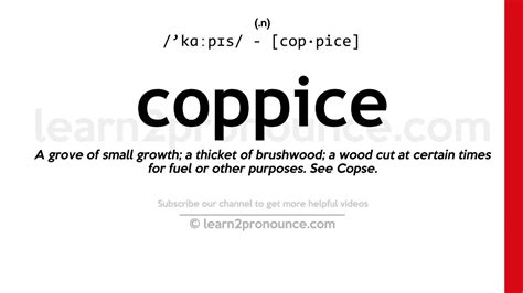 Pronunciation Of Coppice Definition Of Coppice Youtube