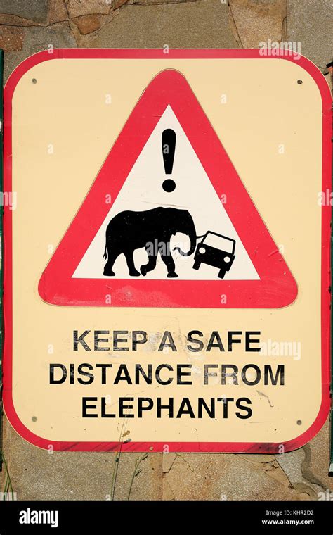 African Elephant Loxodonta Africana Warning Sign Hluhluwe Umfolozi