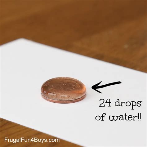 How Many Drops Of Water Can Fit On A Penny Surface Tension