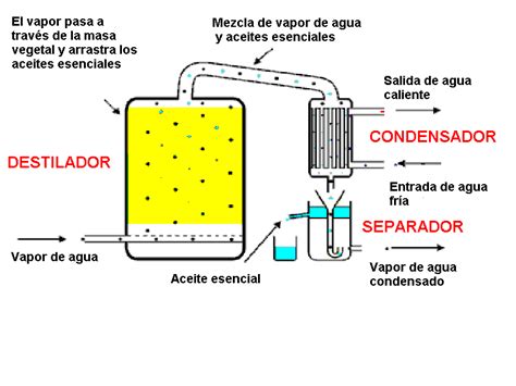 El Blog de Aceites Esenciales Proceso de Destilaciòn