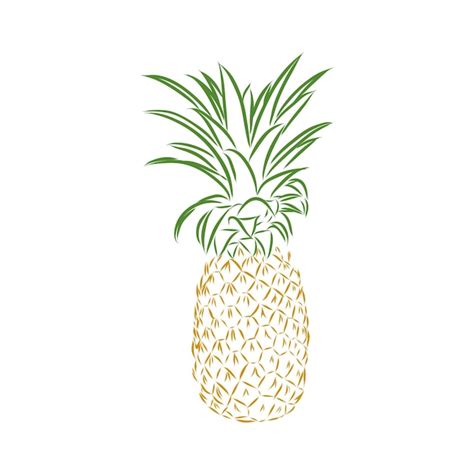 Premium Vector Image Of Pineapple Fruit Vector Black And White Illustration