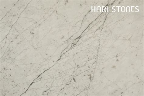 Marble Bianco Statuario Honed Slabs Suppliers Vancouver Burnaby