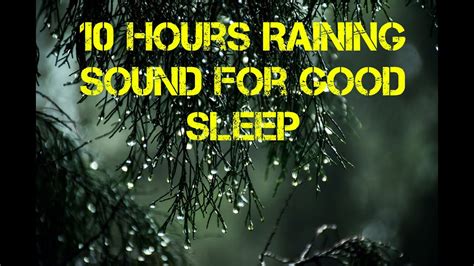 10 Hours Rain Sound For Good Sleep Relaxing Rain Sound Calm Raining