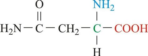 Asparagine - Alchetron, The Free Social Encyclopedia