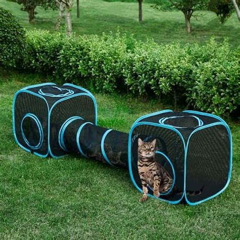 Discover The Best Cat Enclosures For Caravans Safe Outdoor Haven