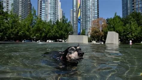 Los Gráficos Para Entender La Impresionante Ola De Calor Que Afecta A