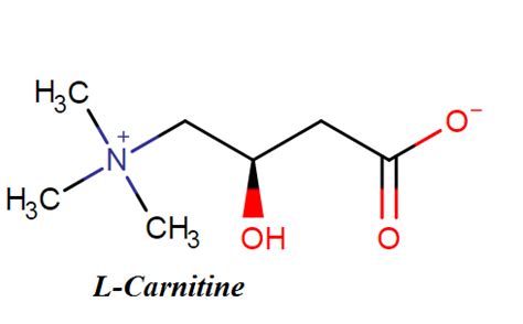 L-Carnitine – Benefits, Dosage, Side effects and Reviews – Drug Details