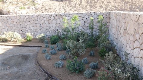 El parque de La Hoya en Almería ofrece imagen de impacto listo para la