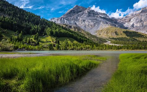 Fondos de pantalla Suiza Alpes berneses hierba árboles lago