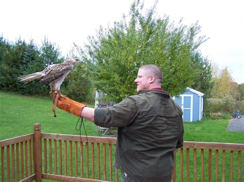 Nathan Keslers Falconry Blog