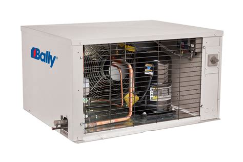 Beh Indooroutdoor Air Cooled Hermetic Condensing Units Bally