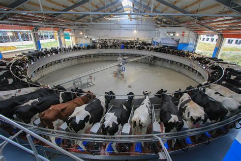 Dairy Global To Host Seminar On Smart Dairy Farming Dairy Global