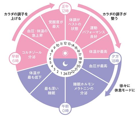 なぜ夜更かしすると太る？「痩せるための体内時計」入門