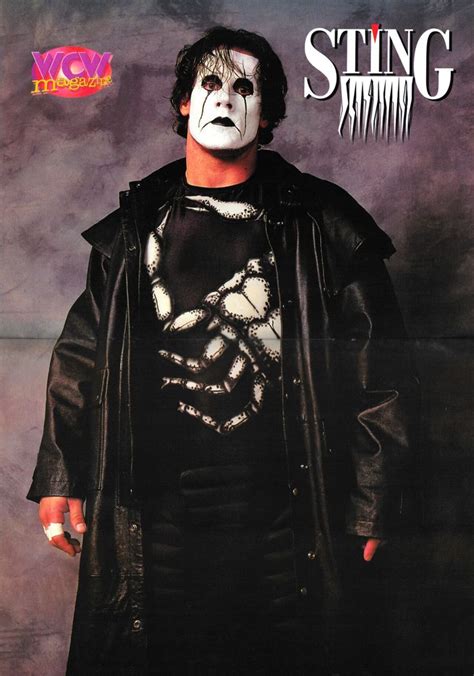 The Franchise Of WCW Sting Sting Wcw Wrestling Wwe Wcw Wrestlers