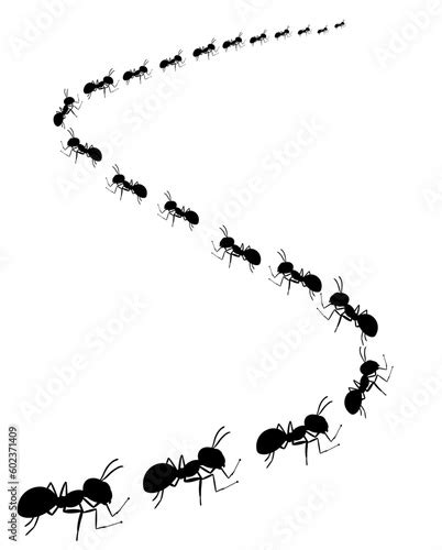 Ants Marching drawing free image download - Clip Art Library